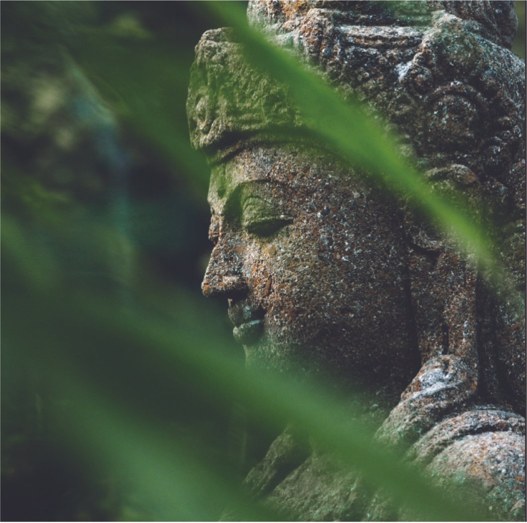 Buddha.jpg