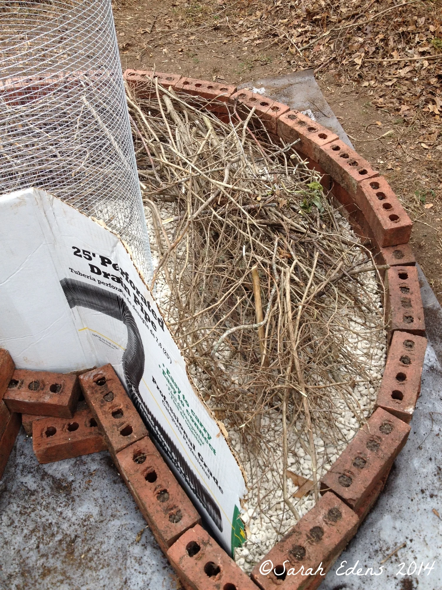 More sticks (live oak from the yard)