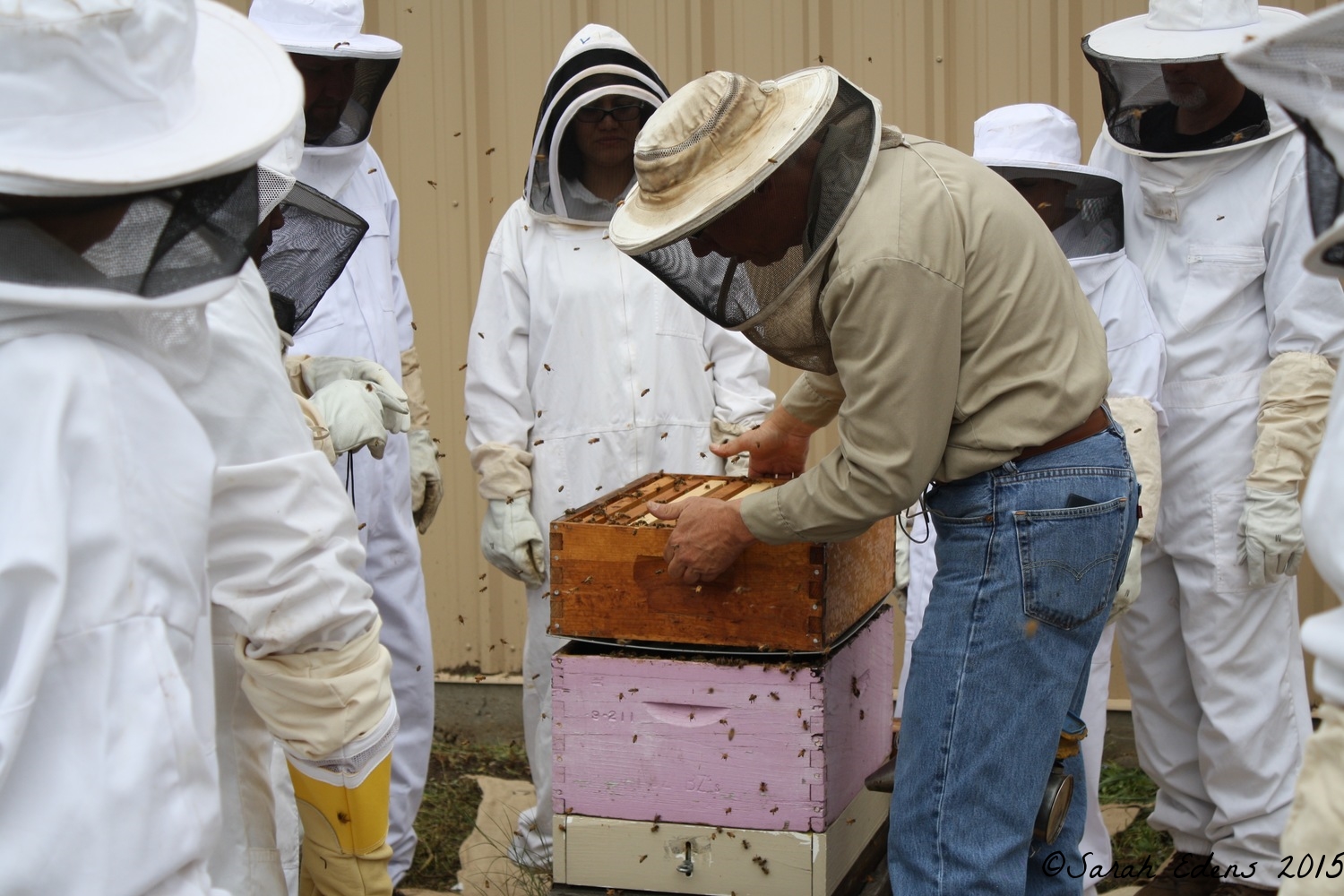 Putting honey super back