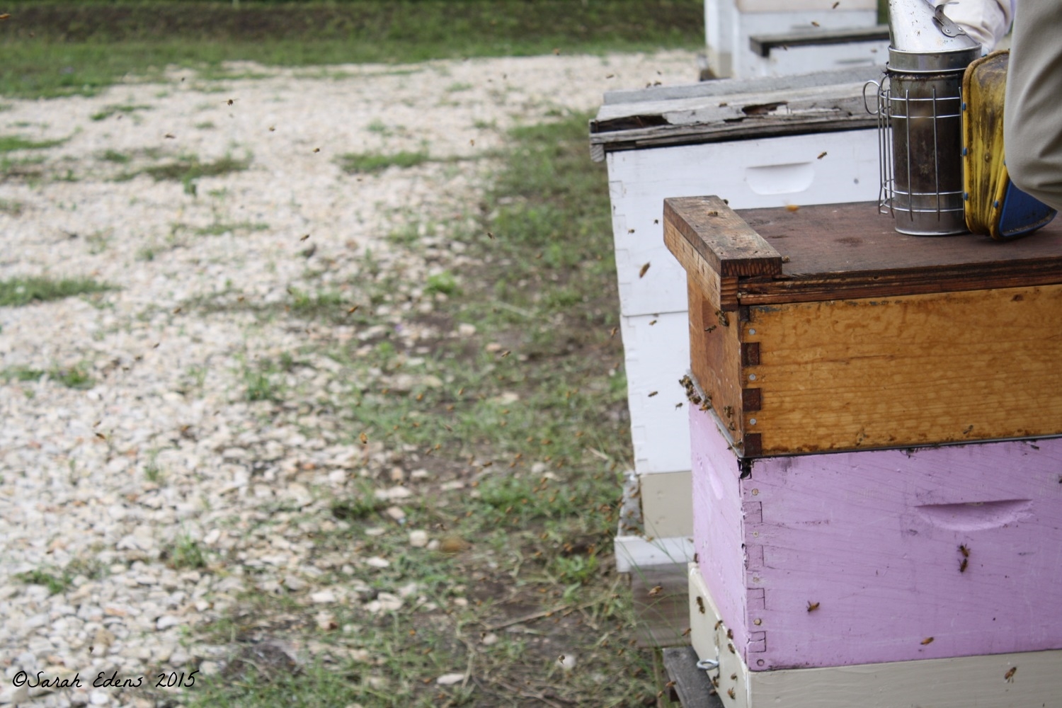 hives post-class.jpg