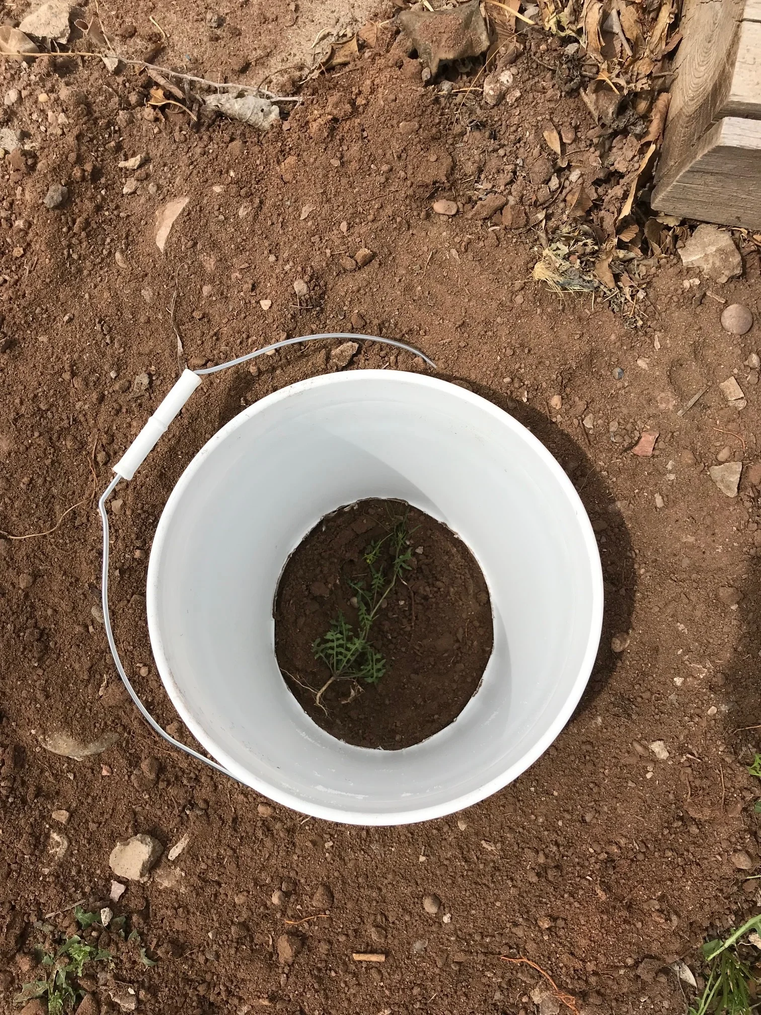 There’s a hole in the bucket, dear Liza, dear Liza…