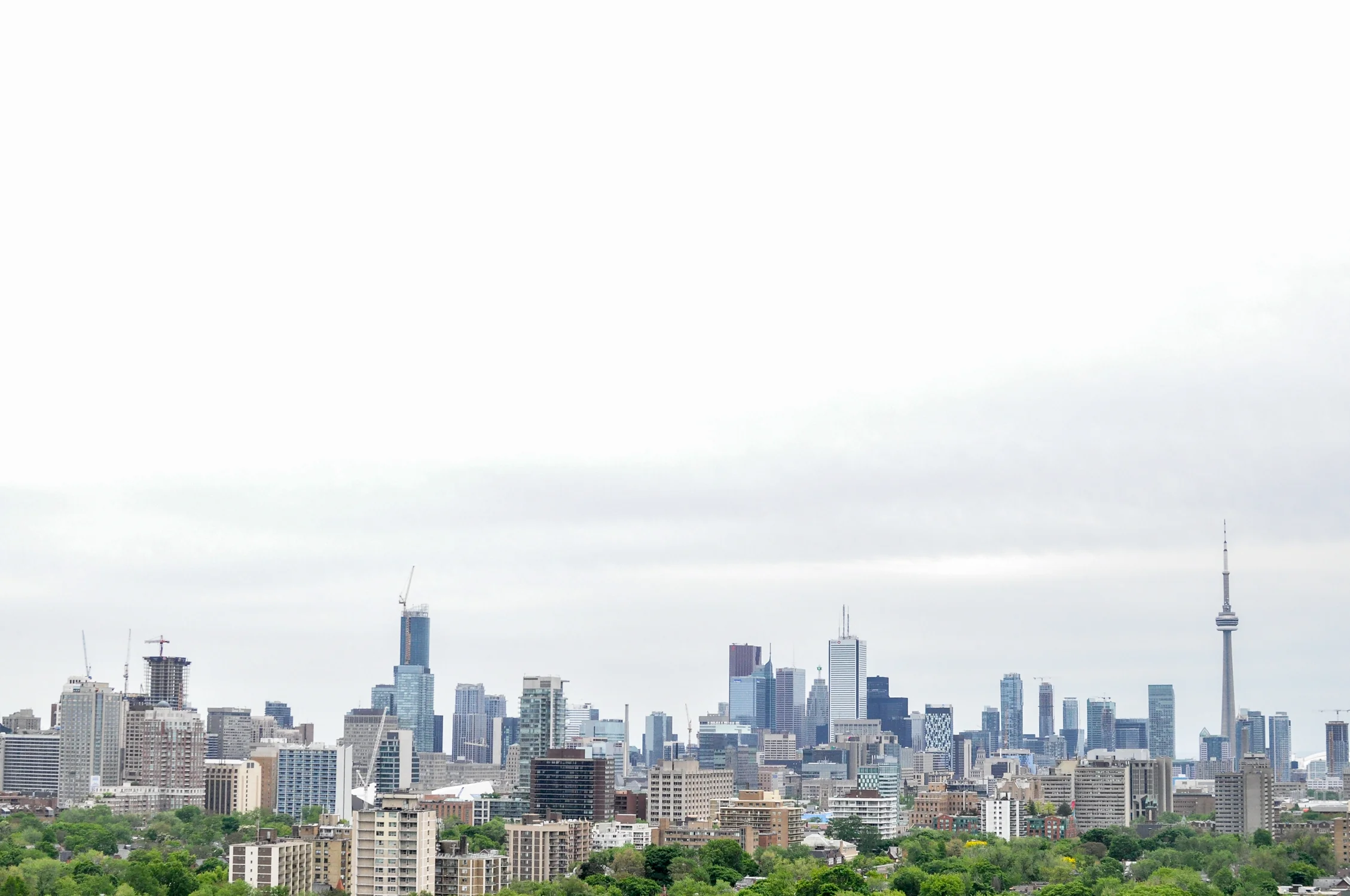 DSC_0227.jpg