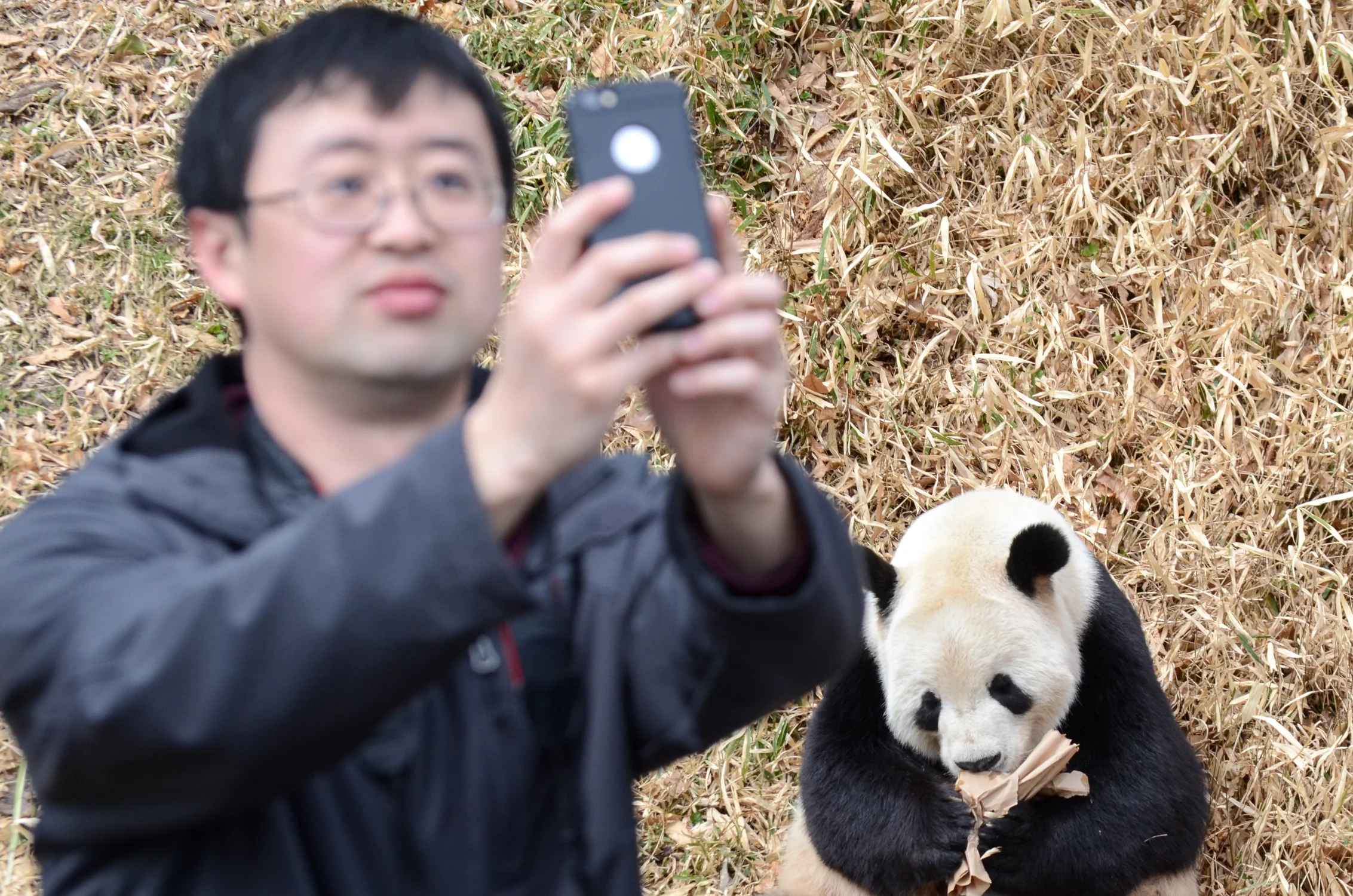 zoo two: return 2 the zoo