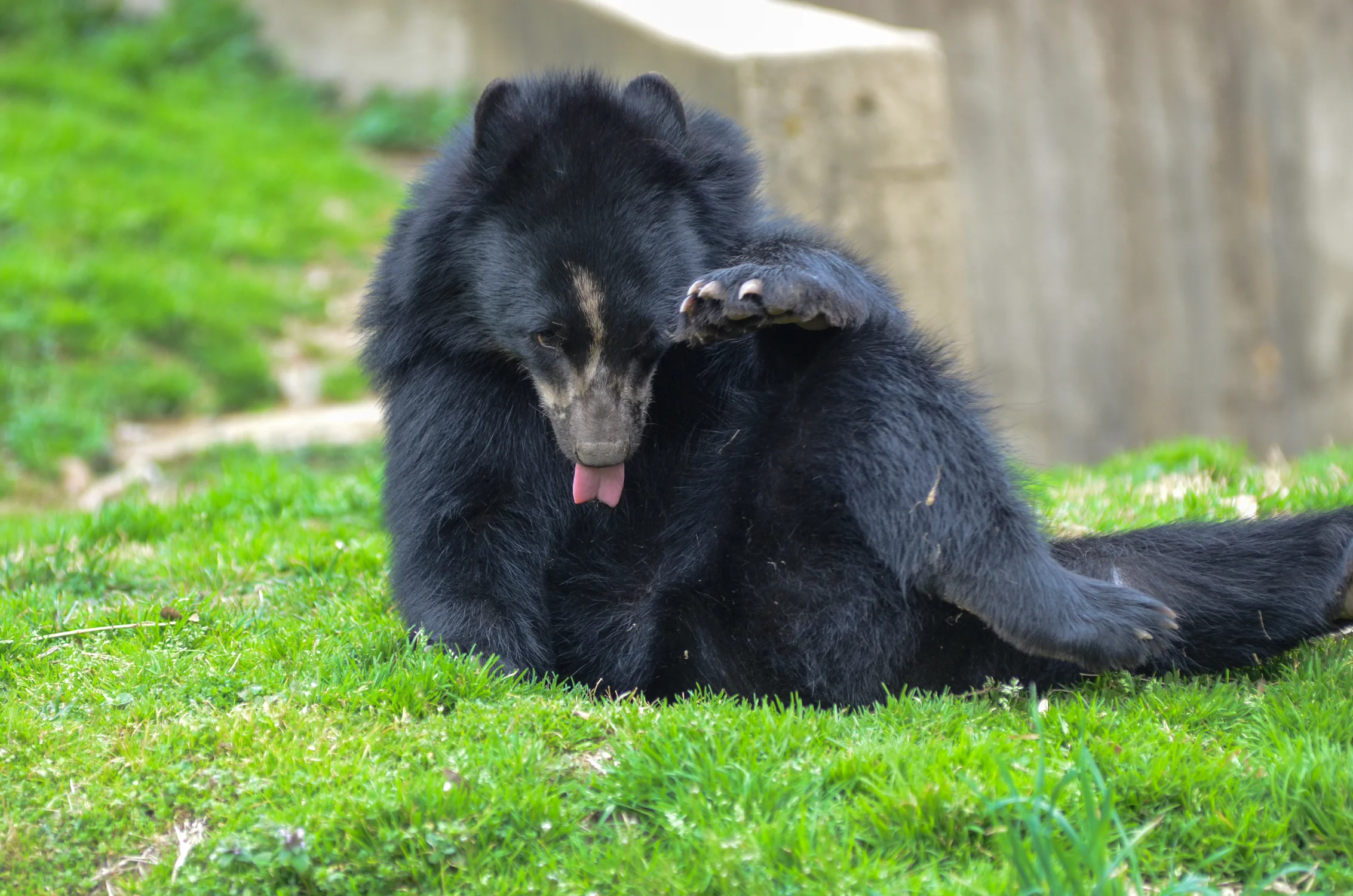 DSC_3142.jpg
