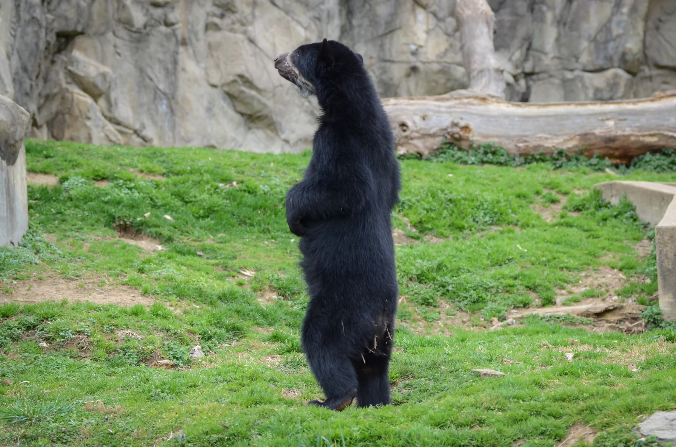 DSC_3064.jpg