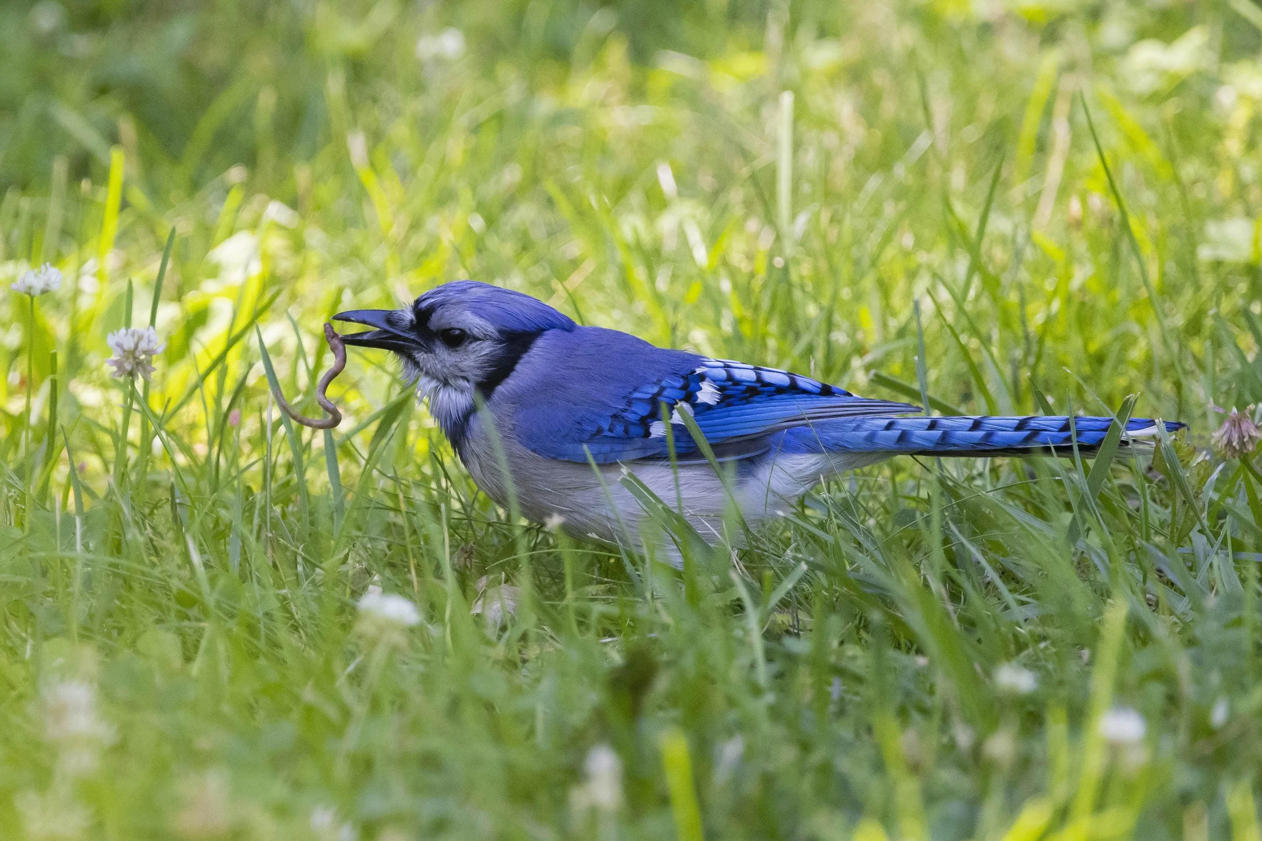 Campus_06032026_DS_2064.jpg
