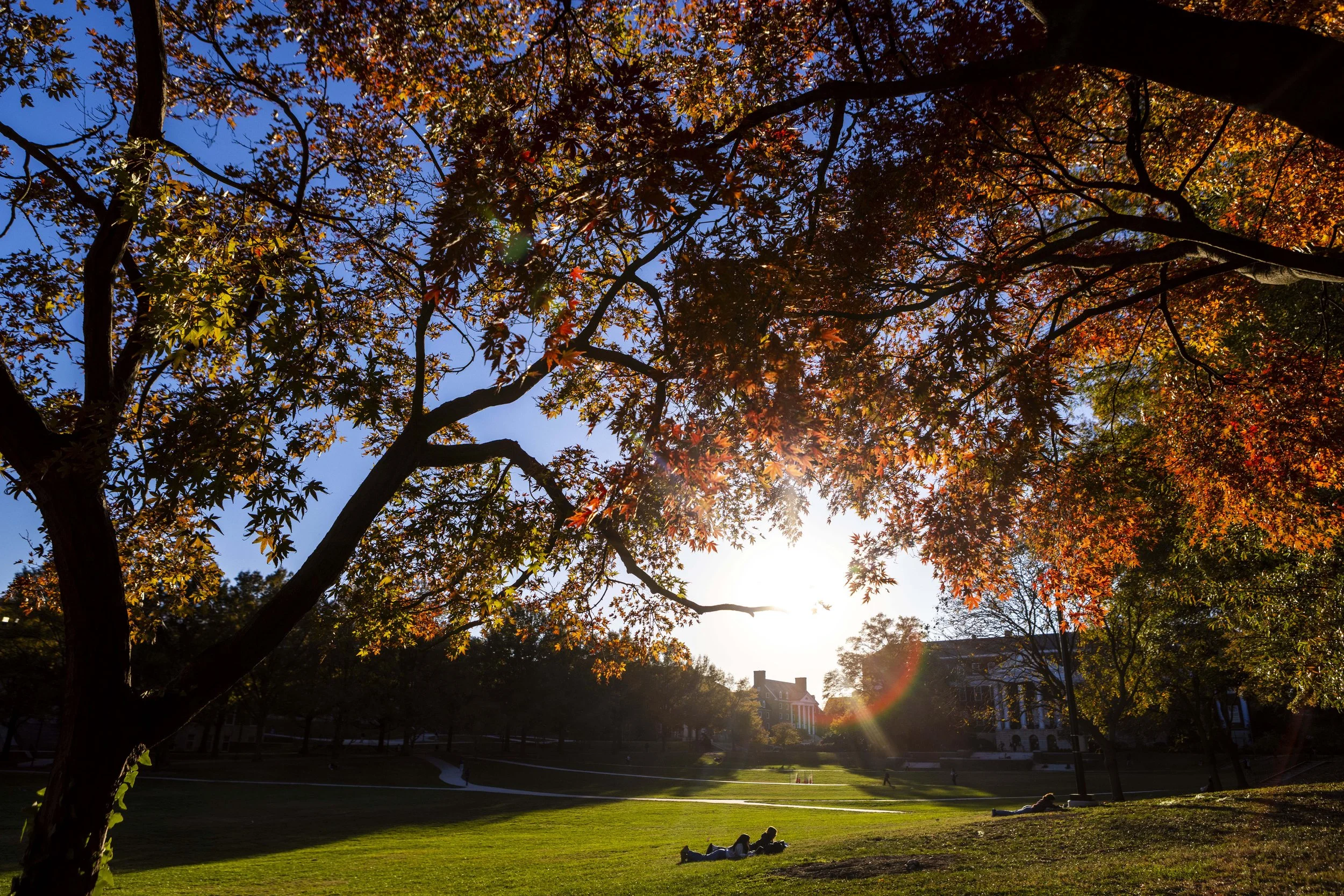 Campus_Fall_11052025_DS_8136.jpg