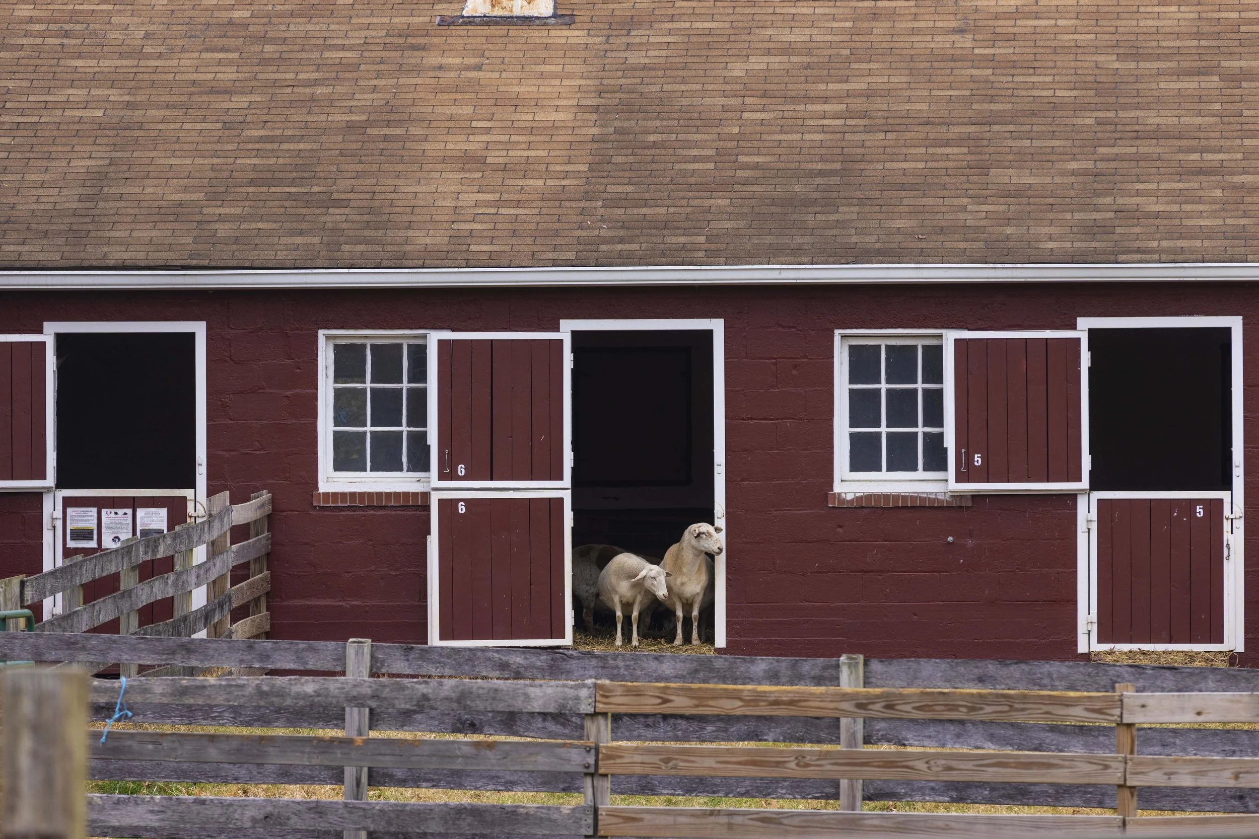 CampusFarm_11202025_DS_9630.jpg