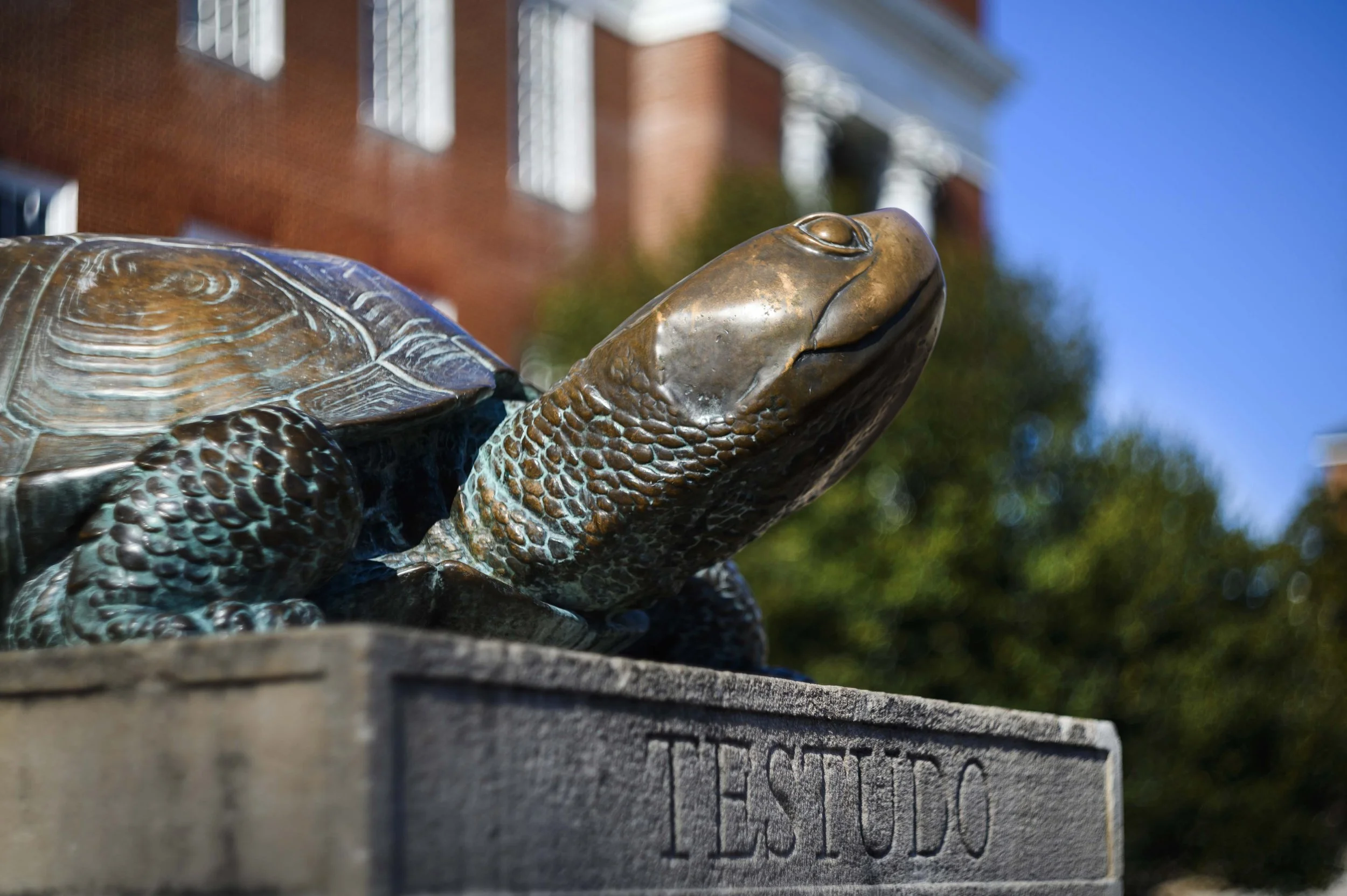 TestudoStatue_02212025_DS_4922_DAM.jpg