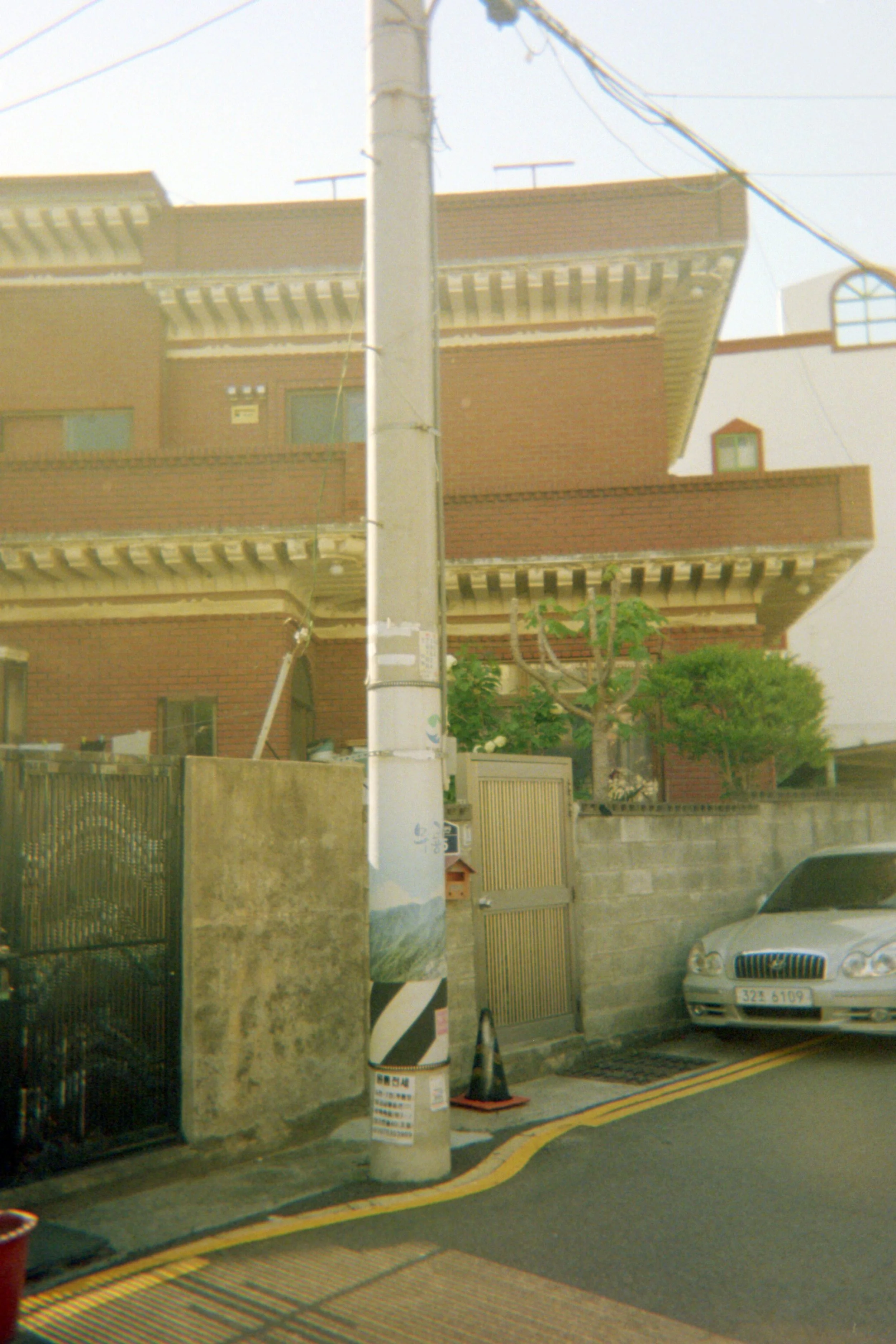 pole with a view.jpg