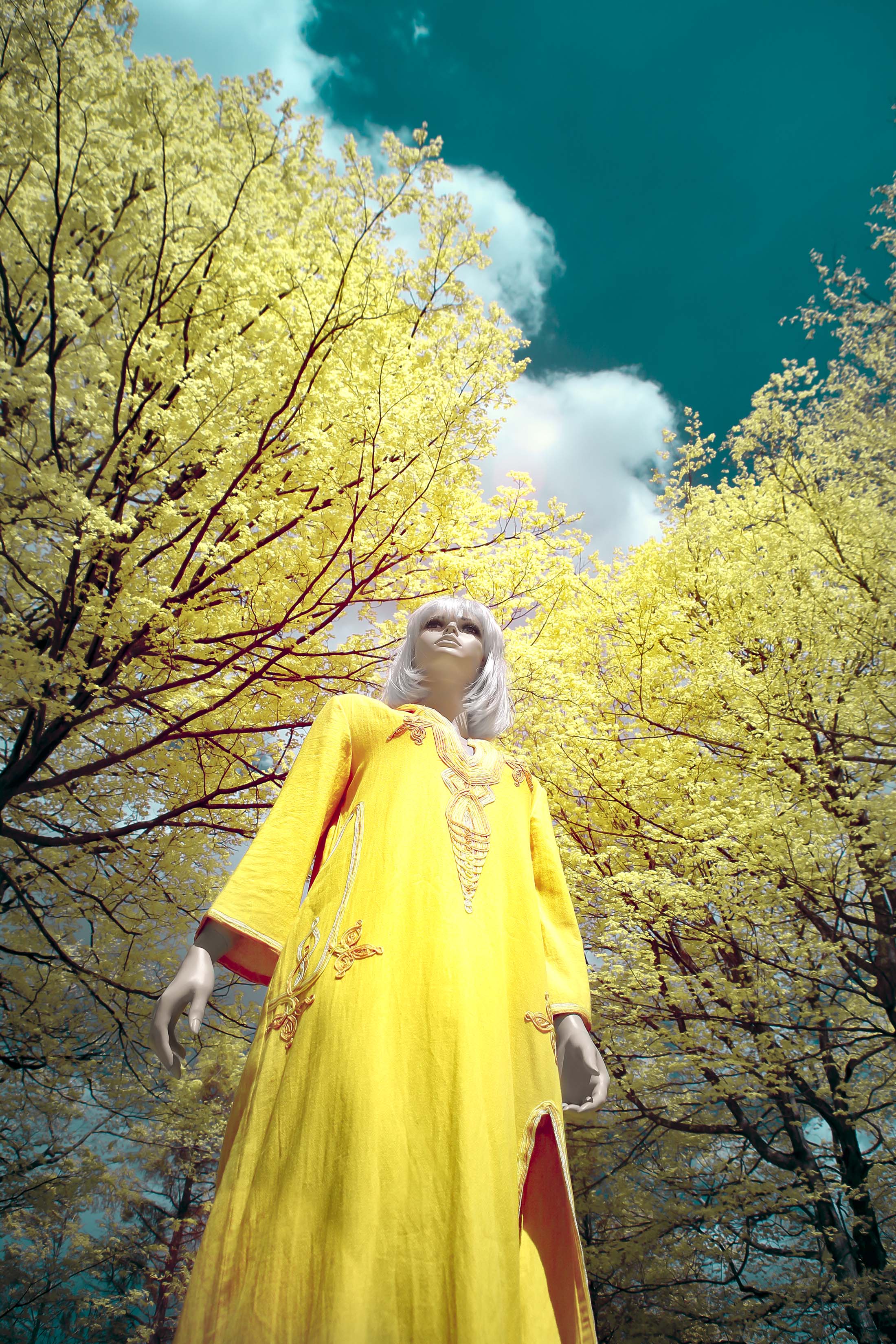 %22Let The Sunshine In...%220630.jpg