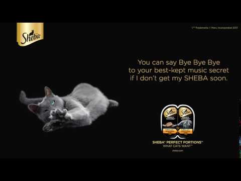 Bye Bye Bye