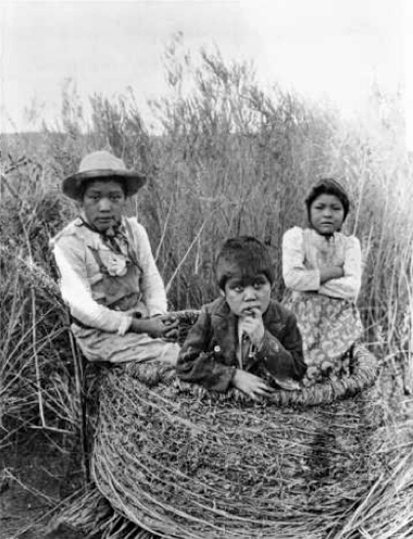 c.1900 ^ Chemehuevi kids in granery basket