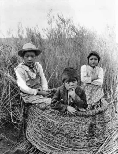 c.1900 ^ Chemehuevi kids in granery basket