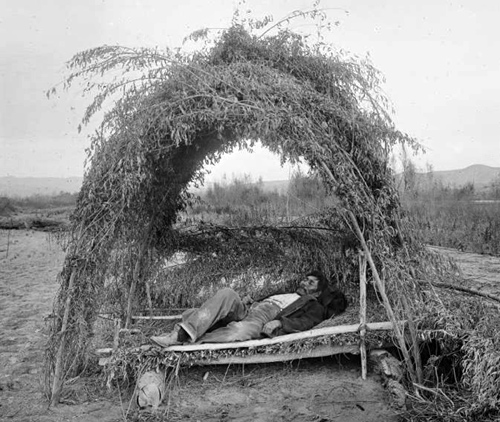 c.1900 ^ Chemehuevi man sleeping in the field in his shelter