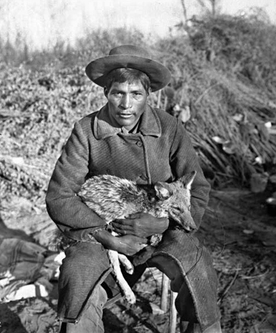 c.1900 ^ Chemehuevi man with coyote