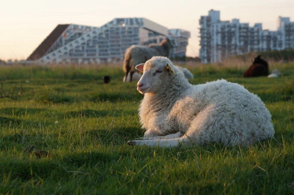 Experience Ørestad, Recycled architecture and Bjarke Ingels icons ...