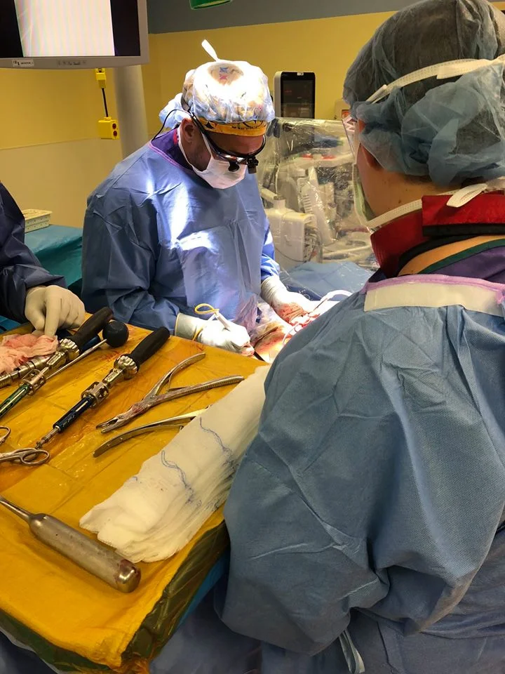 Rachel Phillips Medical School/Undergrad Institution: Saint Louis University School of Medicine Preceptor: Dr. Jasmin McGinty Summer Location: Saint Louis University School of Medicine