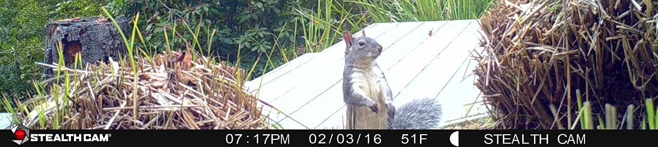 "What you lookin' at?...."