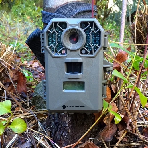 Caught On Candid Camera