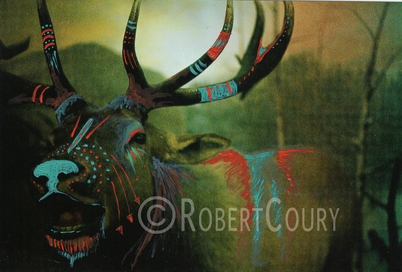 "Redwood Warrior" (8.5x6.5) Acrylic on Photograph - $125