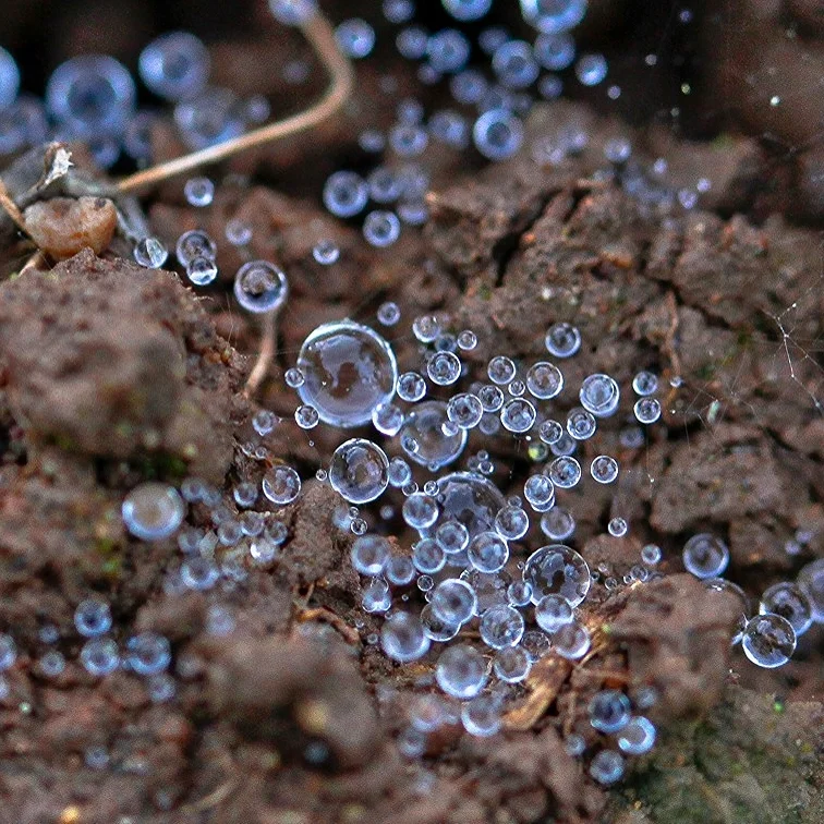 Living In A Macro World