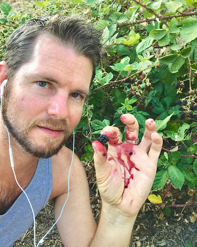 I have this mutual agreement with the blackberry bush growing in the garden. You keep producing berries each summer and I won’t hack you to little pieces. Lord help you the year no delicious, sweet little gems grow on your branches... 😤🔪🍇 LOL who am I kidding! We both know this blackberry bush is pretty much in control, will cut me down at the knees, and eventually destroy everything I’ve come to know and love..... but damnit if it doesn’t taste SO good! 🤪 #blackberryseason #blackberries #inthegarden #nopainnogain #berryfingers #berrystained #blackberry #inmyhand #summerberries #blackberrybush #self #selfie #selfporttrait #gayboy #beardedhomo #beardoweirdo #summervibes #alltheberries #berrypicking #berryboy #countrylife #countryliving #lovewhereyoulive #berrygood #berrylicious #lookslikeblood #blessed #grateful #RobertCoury.com