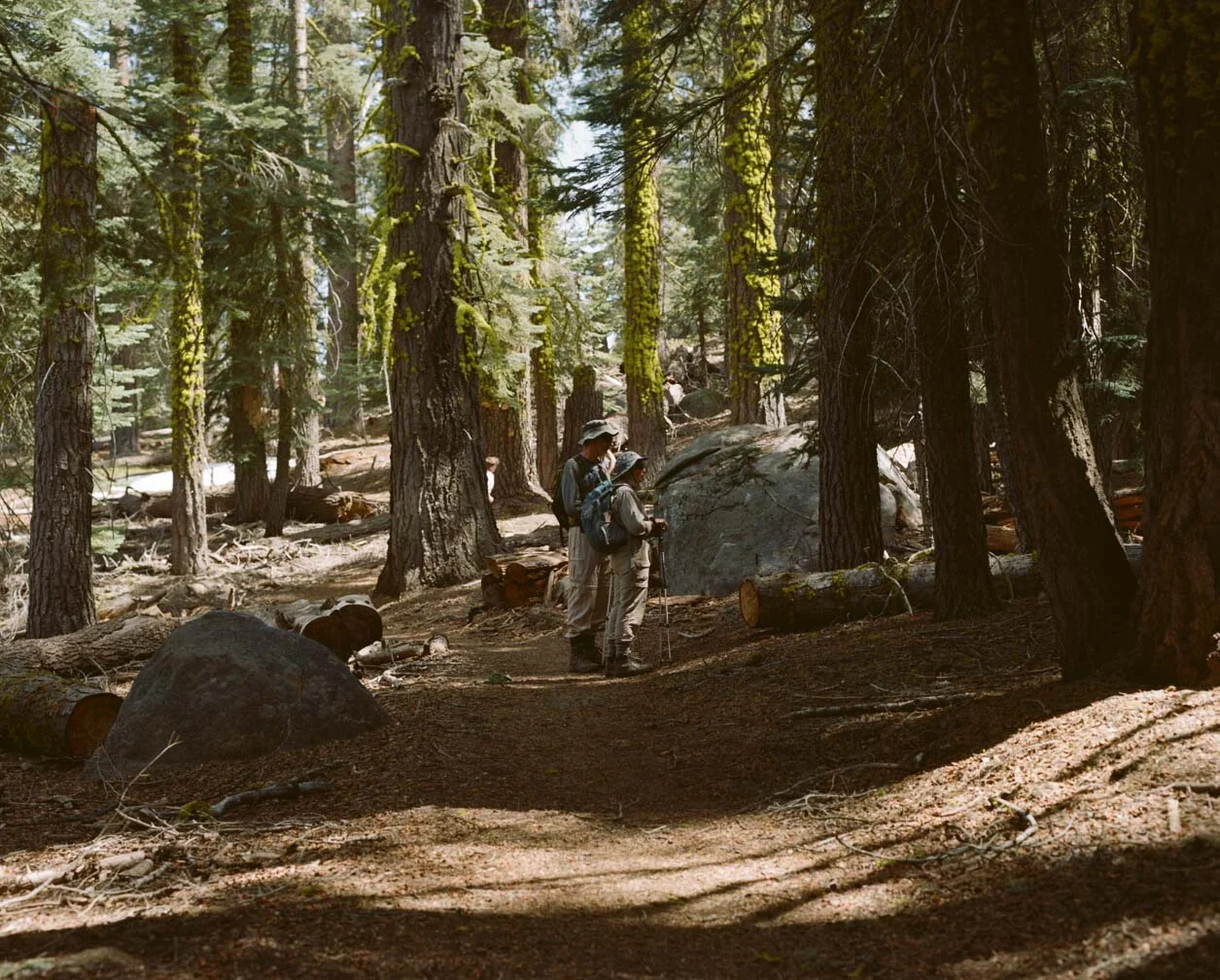 touristcampers.jpg