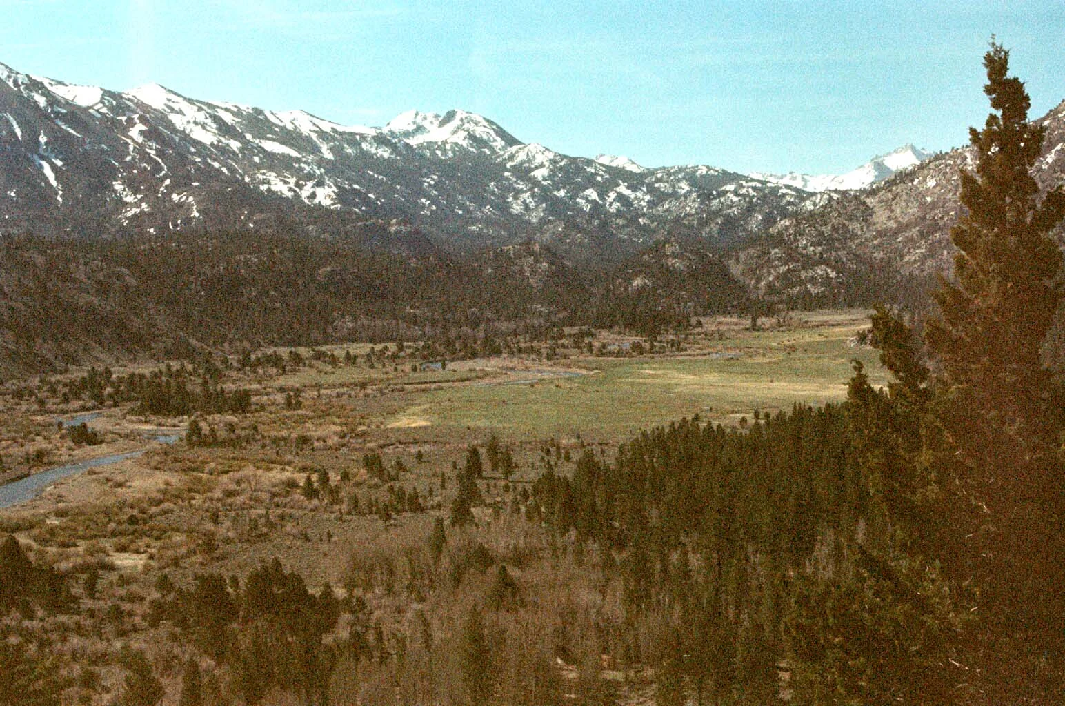 00060013 copy.jpg