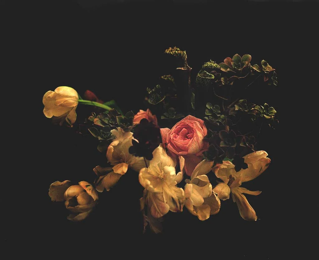 Canyon Flowers 2