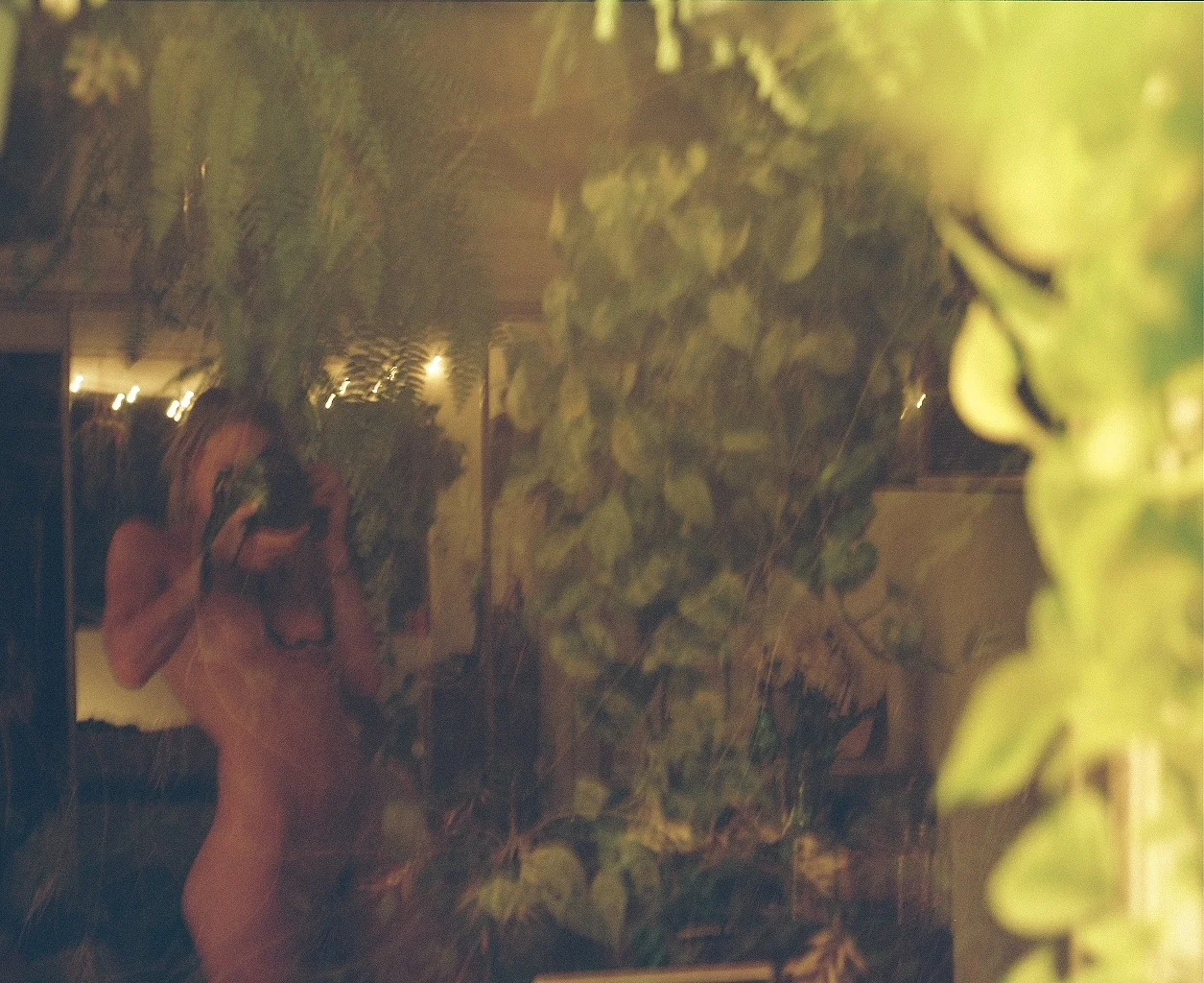 Foliage self portrait.jpg