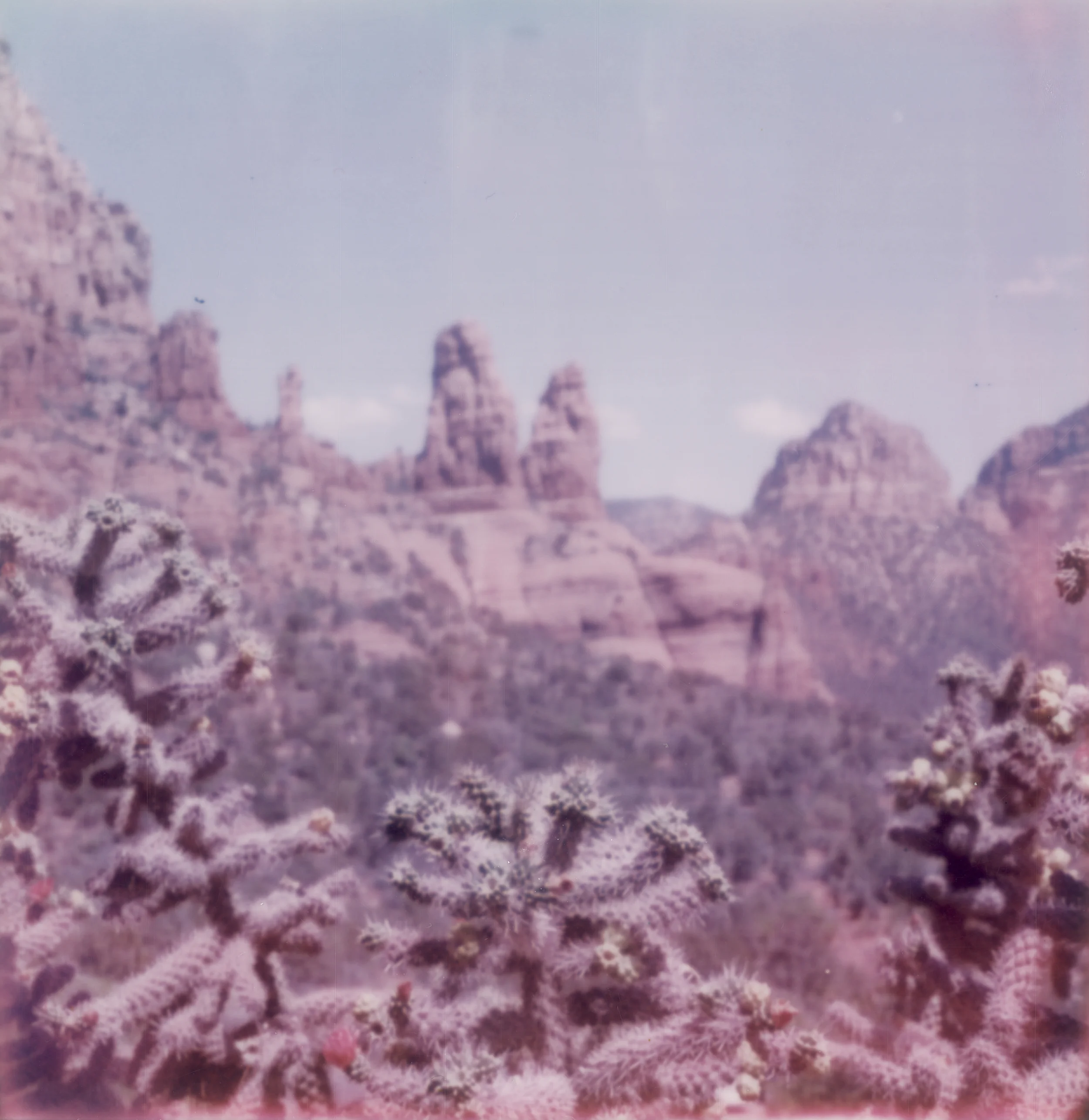 sedonapolaroidcrop.jpg