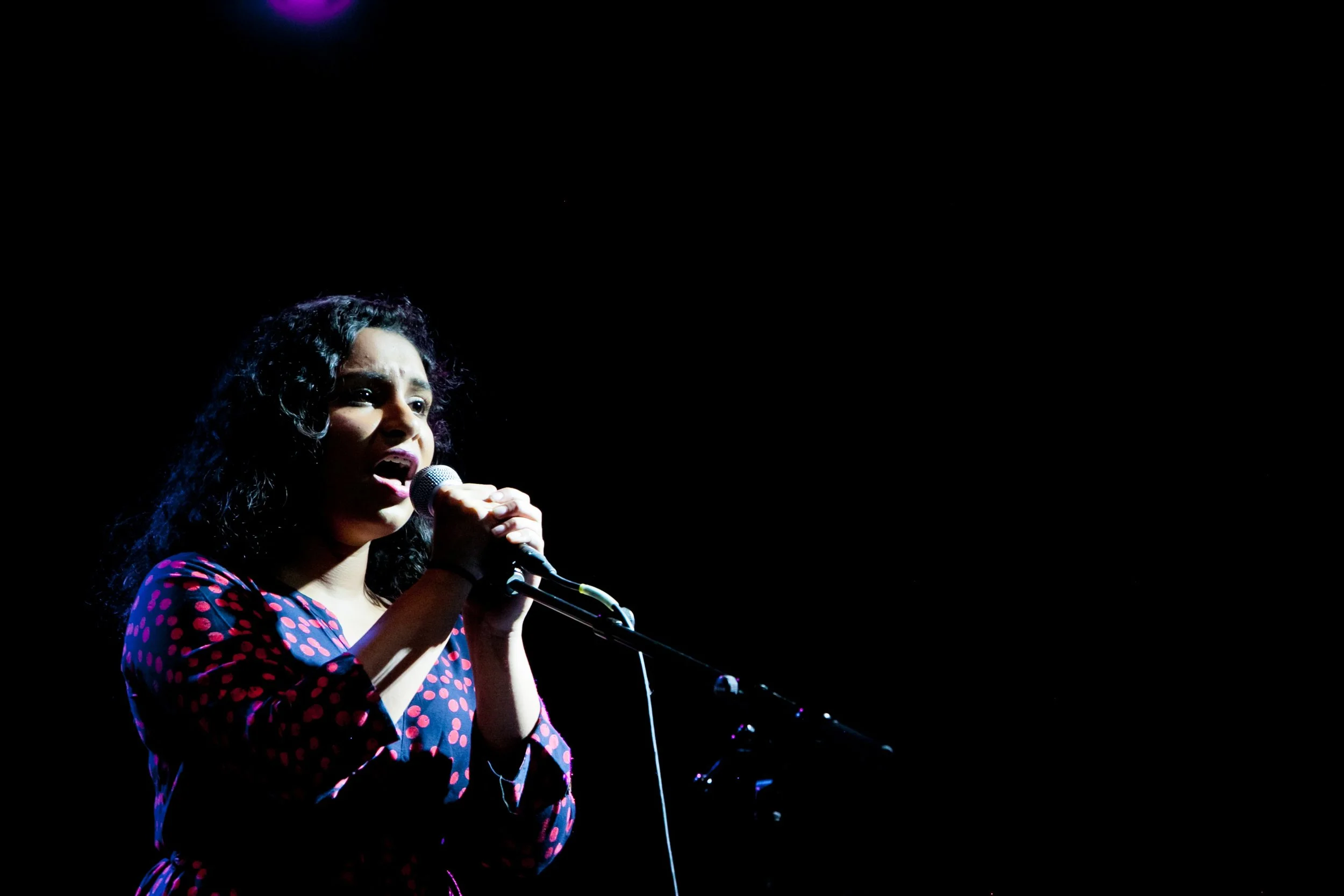 Fall Recital & Showcase