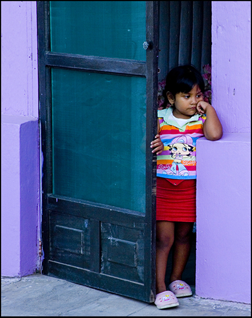 Lavender house, Mexico