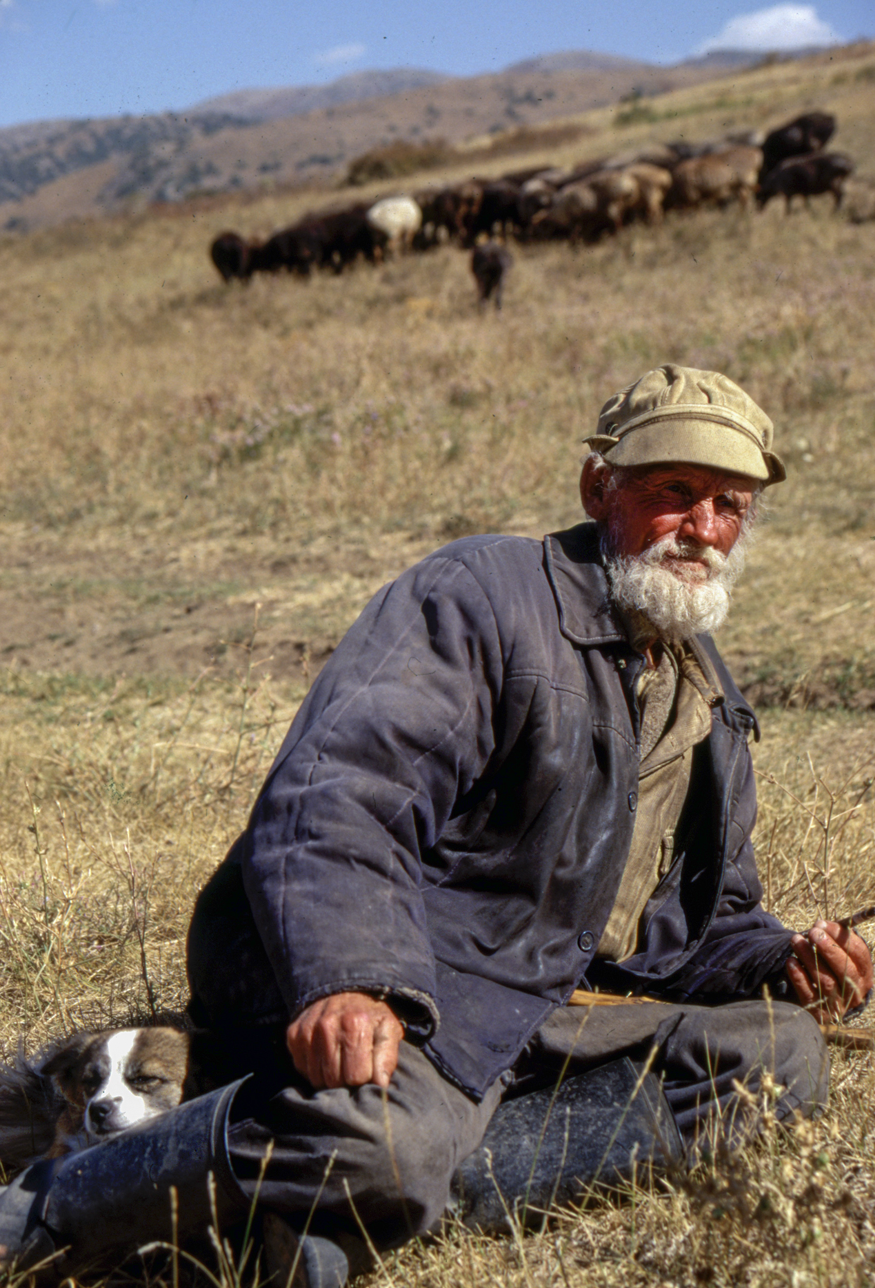 Sheepherder, Uzbekistan