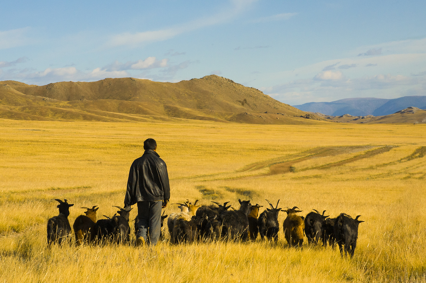 Northern Mongolia