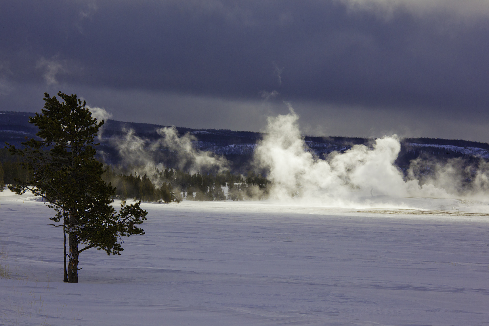 Lower geyser basin