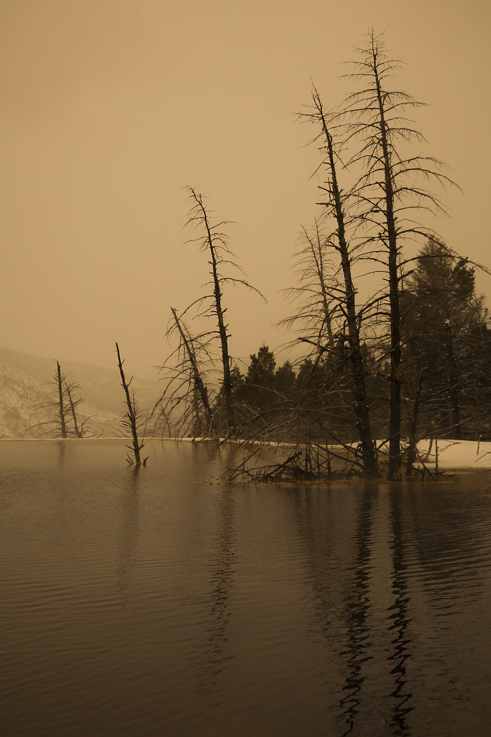 Pond near Mammoth Hot Springs