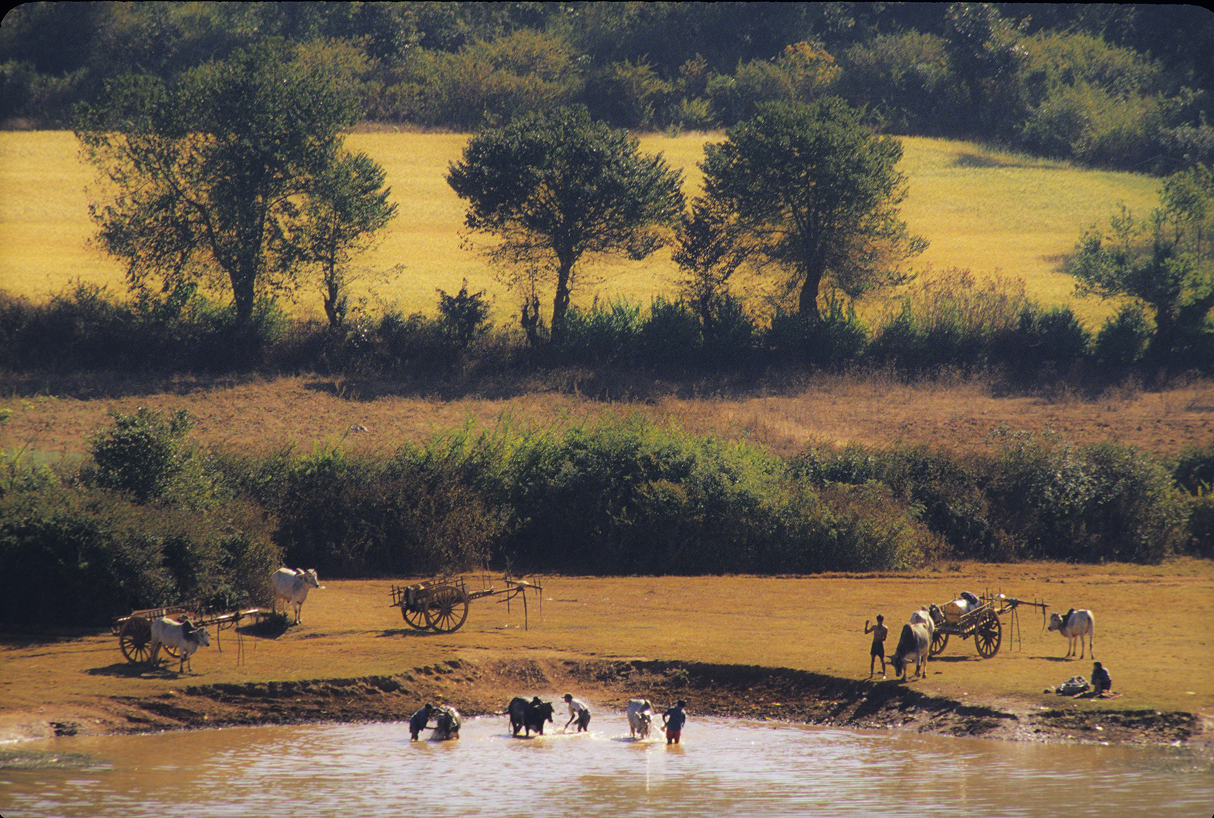 Village scene