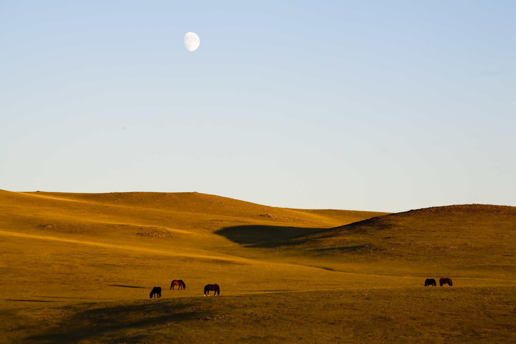 Moonrise