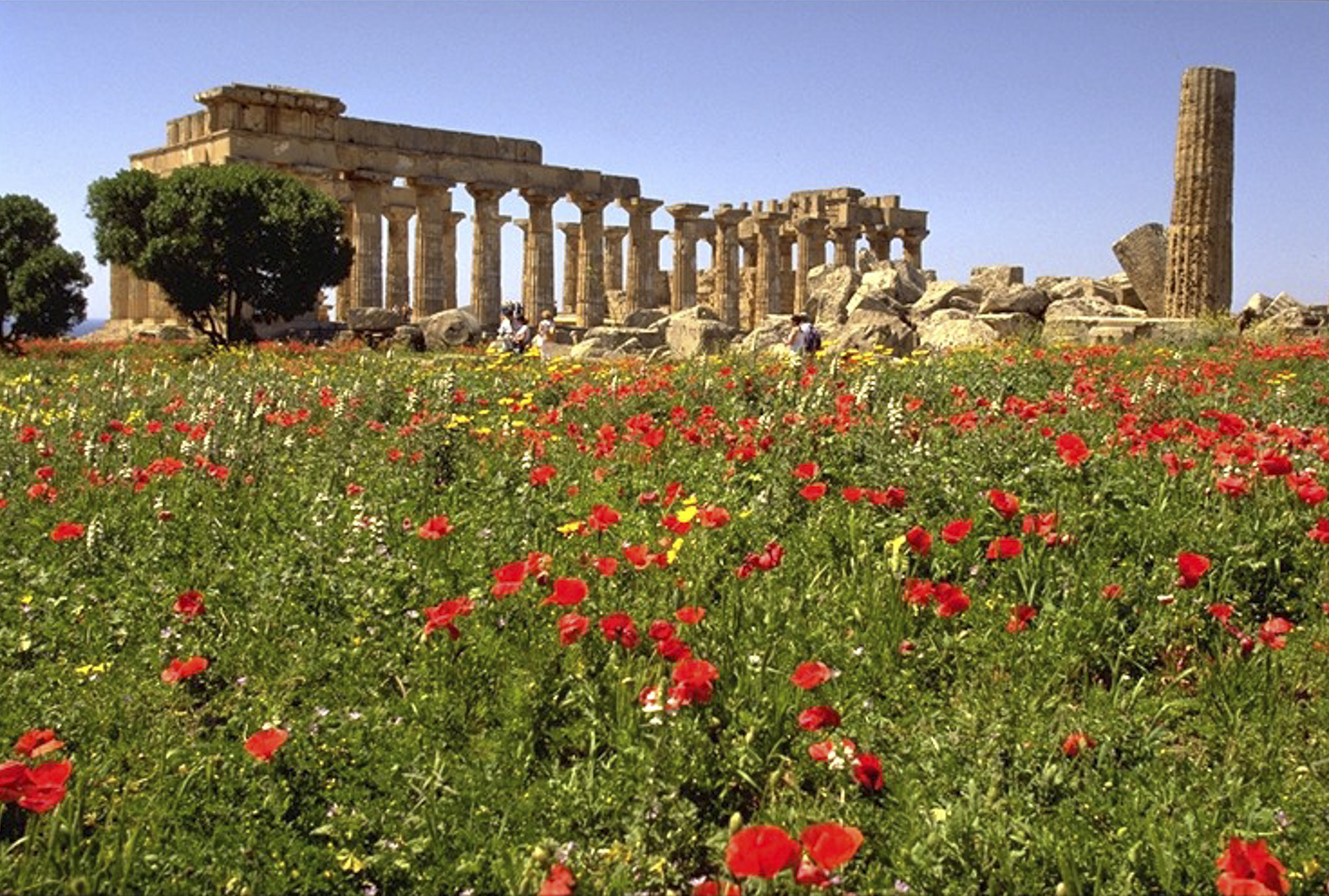 Selinunte, Sicily