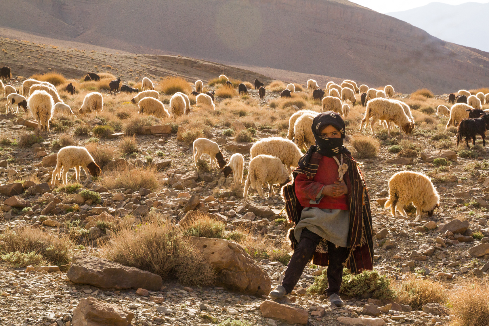 Nomad child herding sheep, Dades Valley