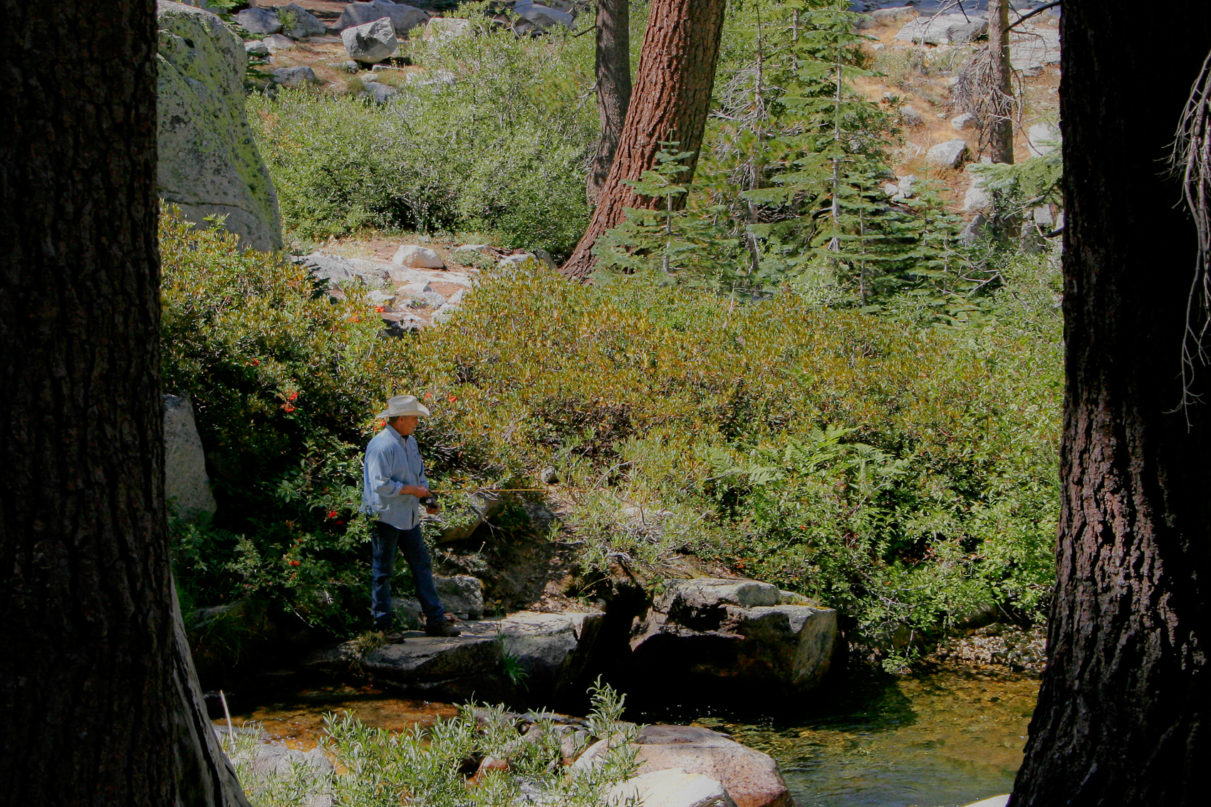 Tamarack Creek, Sequoia National Park