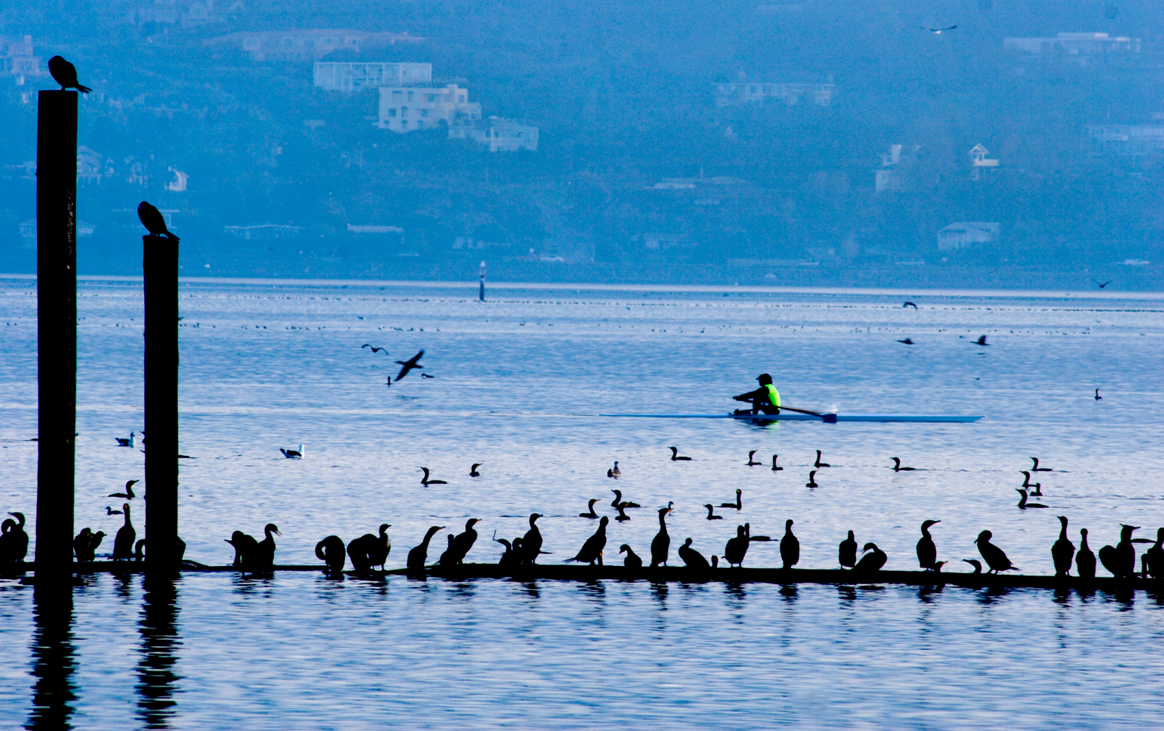 Kayaking off Sausalito