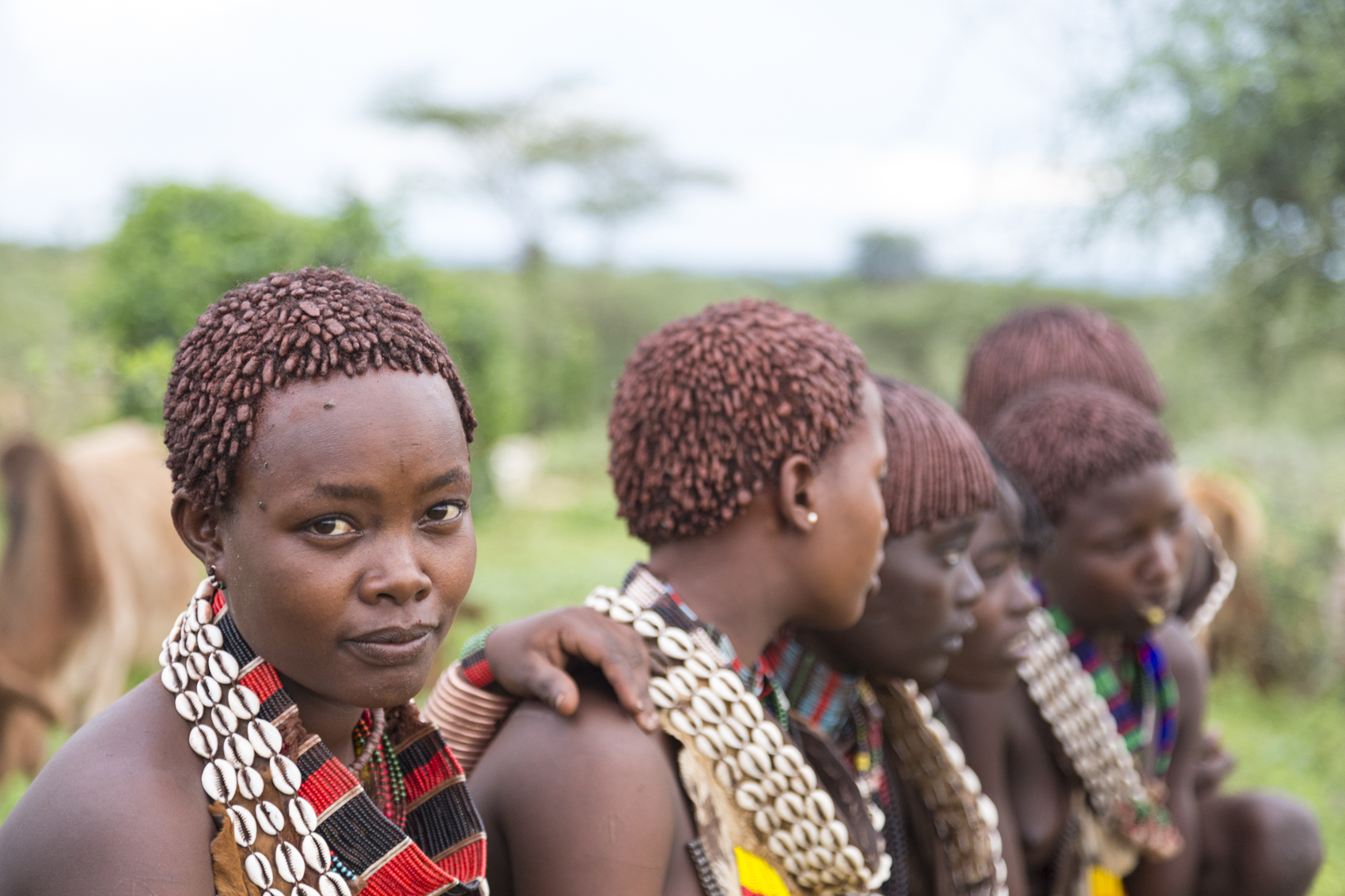 Hamar women, Omo Valley