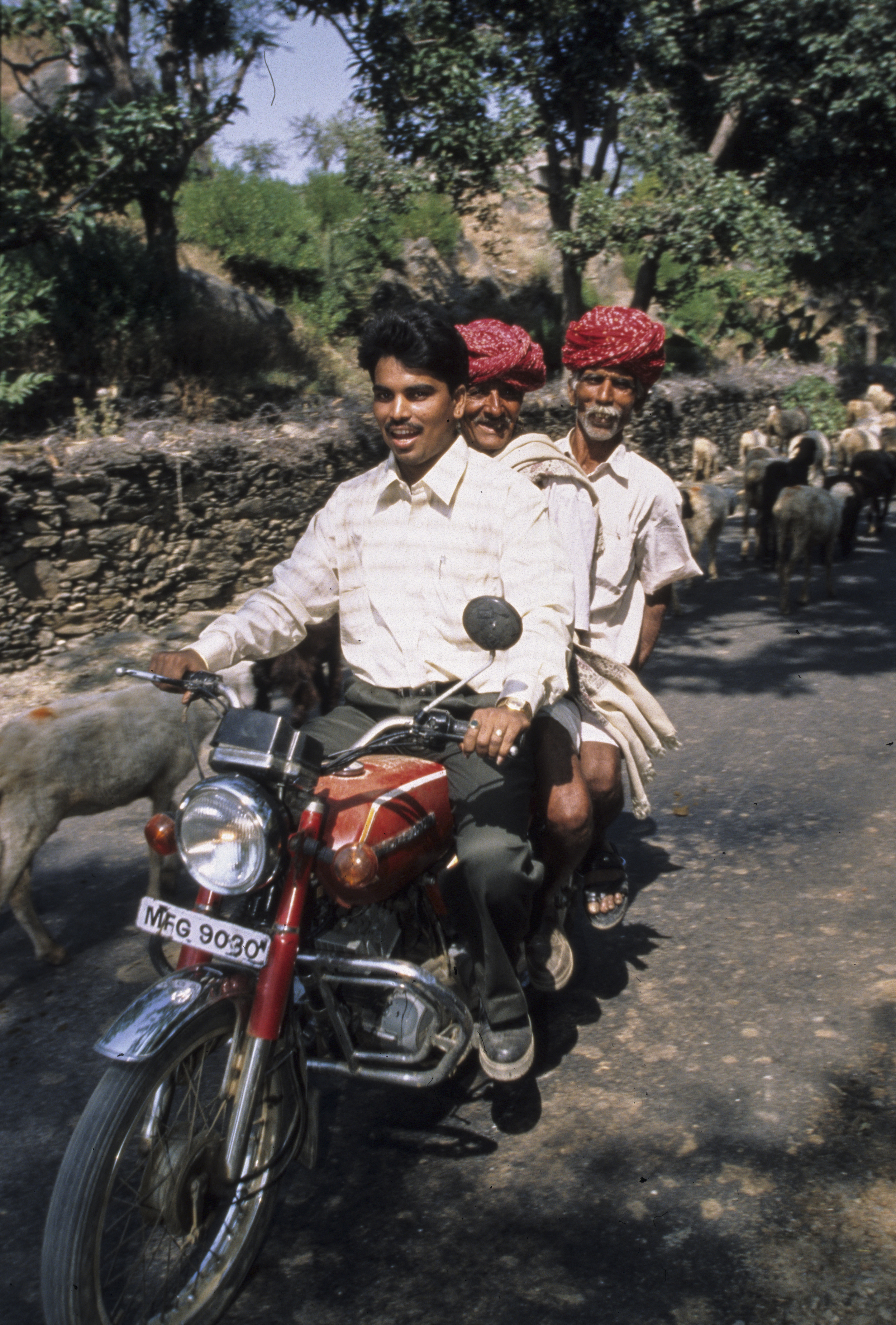 Motorized sheep herders