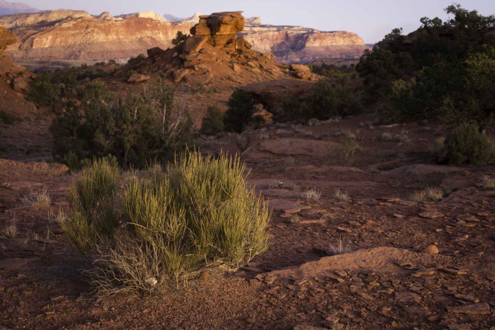 Capitol Reef National Park