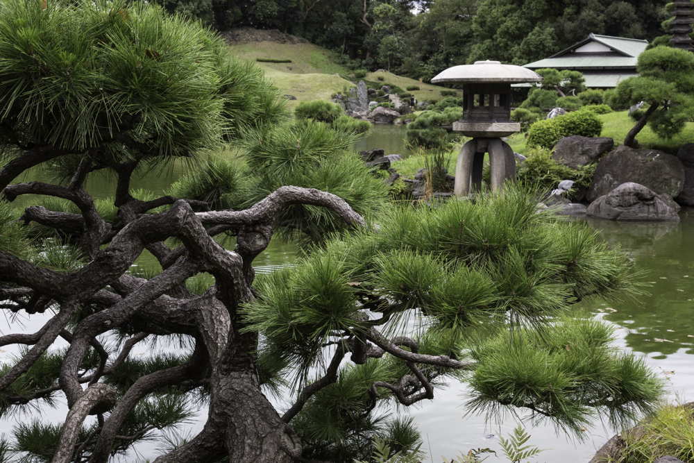 A garden in Kanazawa