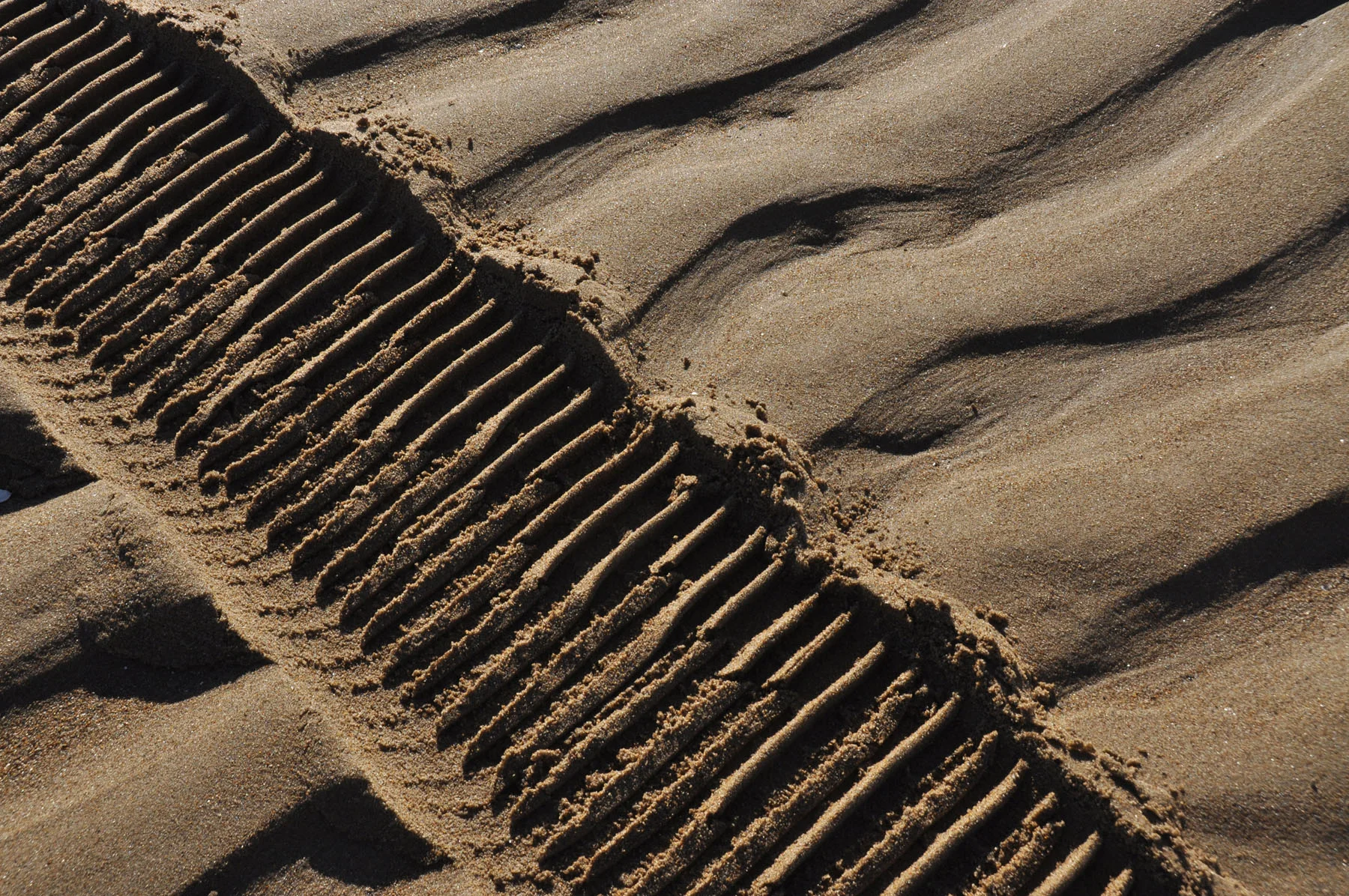 DSC_0217.jpg