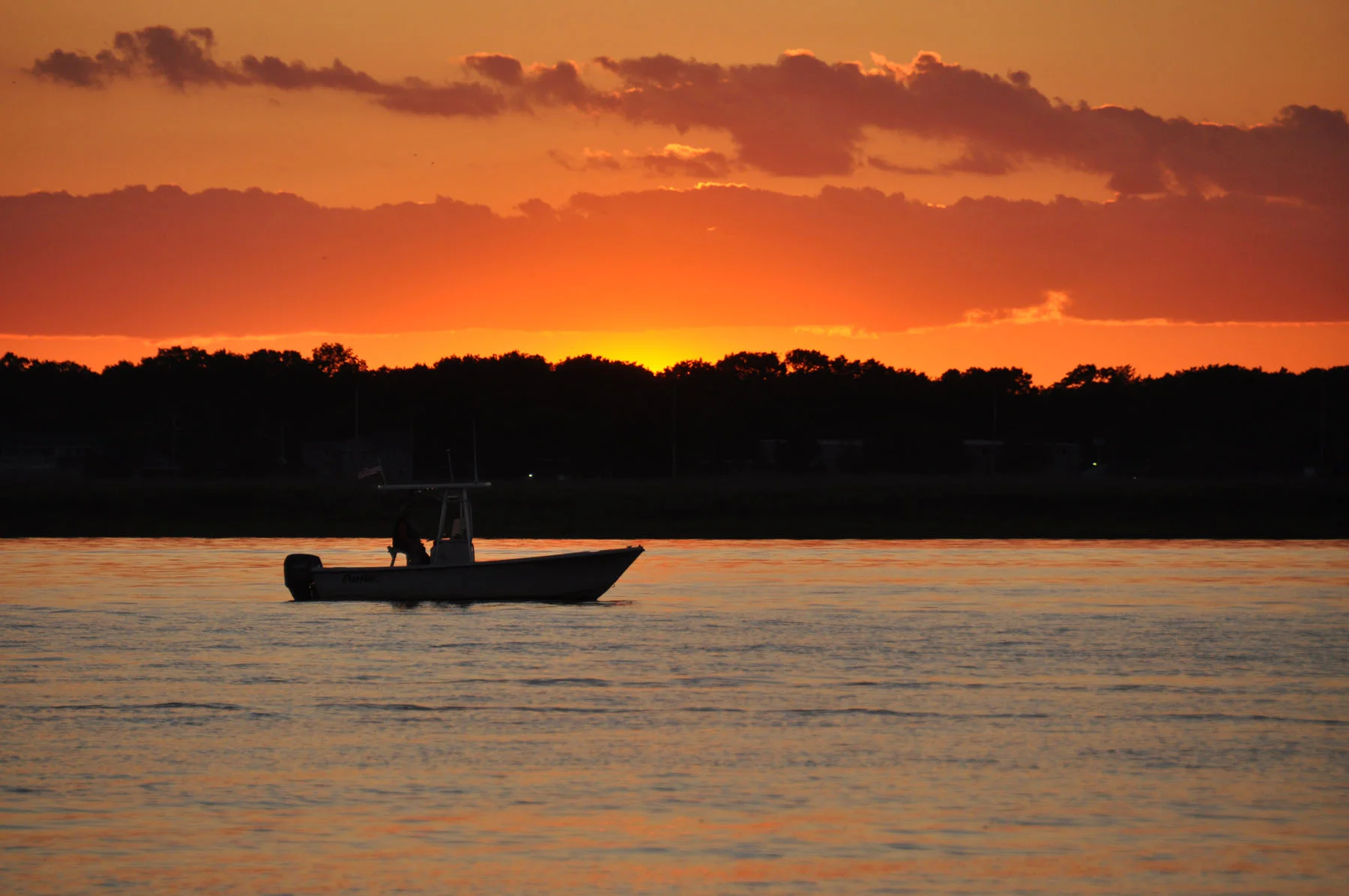 DSC_0868.jpg